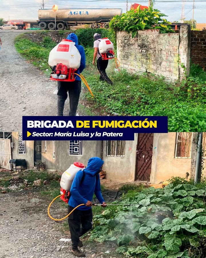 Brigadas de San Jacinto fumigan puerta a puerta para proteger a las familias
