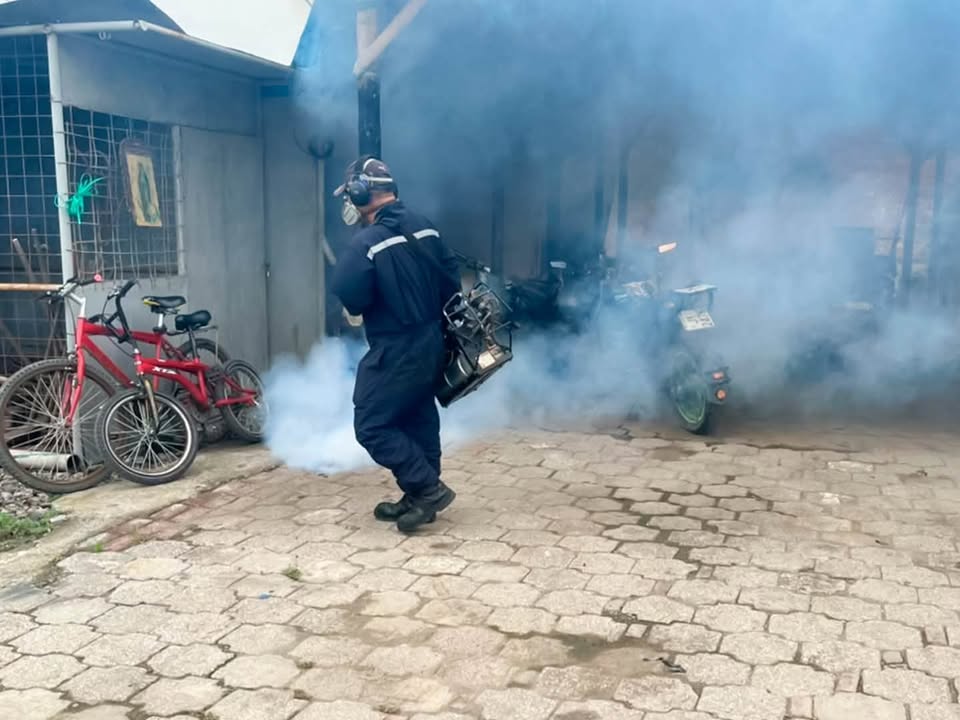 Fumigan contra el dengue en El Tamarindo y Cristo Rey este jueves