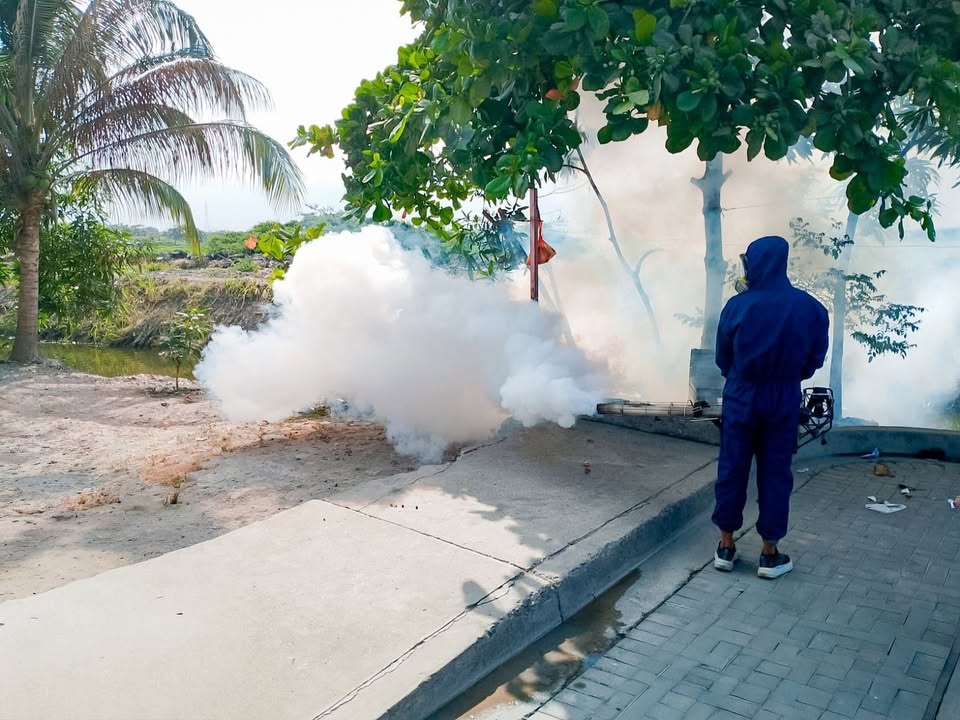 San Jacinto y MSP inician fumigación contra vectores en El Tamarindo
